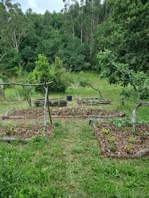 The Real Ninja Girl OnlyFans Leaked Free Thumbnail Picture - #s9mJhiZlB9