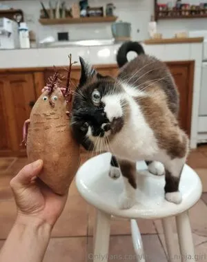 The Real Ninja Girl OnlyFans Leaked Free Thumbnail Picture - #sFOOn7mccj