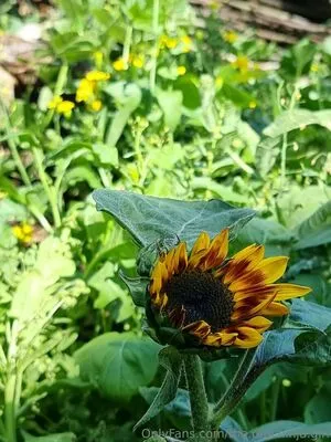 The Real Ninja Girl OnlyFans Leaked Free Thumbnail Picture - #z81a5IDoUY