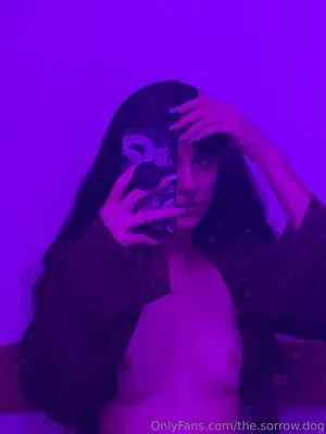 The Sorrow Dog OnlyFans Leaked Free Thumbnail Picture - #DgeYvfYQTm