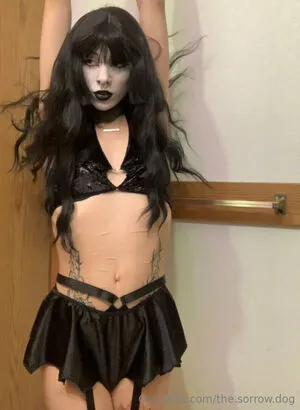 The Sorrow Dog OnlyFans Leaked Free Thumbnail Picture - #QK8bWfhREb