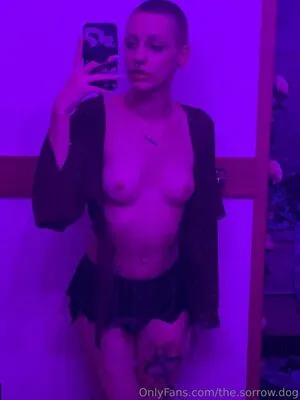 The Sorrow Dog OnlyFans Leaked Free Thumbnail Picture - #VuMjfoHCn3