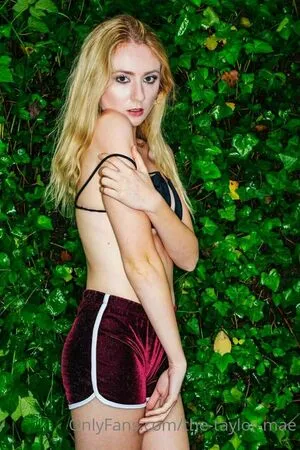 The Taylor Mae OnlyFans Leaked Free Thumbnail Picture - #yDUkR5HIT6