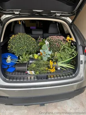 Theapronmodel OnlyFans Leaked Free Thumbnail Picture - #Iuu5ey3BK9