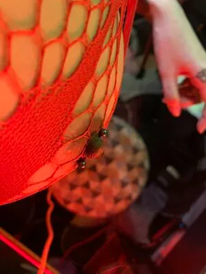 Theavtist OnlyFans Leaked Free Thumbnail Picture - #5ThOxwWJSm