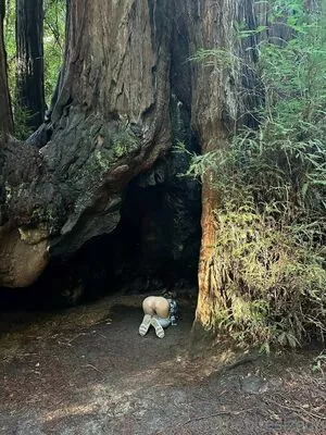 Thebitesizedbitch OnlyFans Leaked Free Thumbnail Picture - #Xi5rJr2ePQ