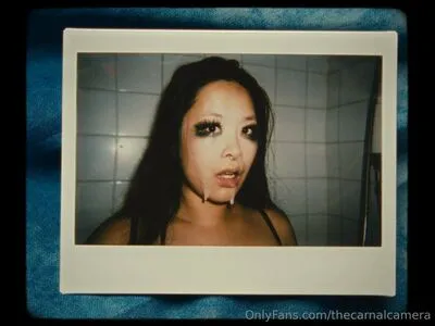 Thecarnalcamera OnlyFans Leaked Free Thumbnail Picture - #P8ZElaQ6z4