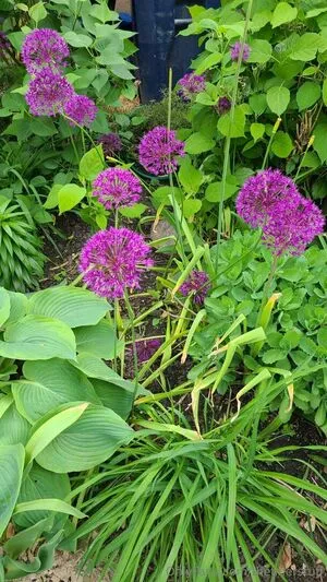 Thefinerstuff OnlyFans Leaked Free Thumbnail Picture - #uKCvdxuDTC