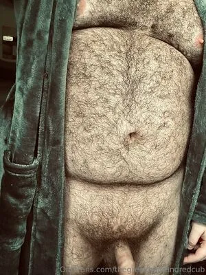 Thegreekbearandredcub OnlyFans Leaked Free Thumbnail Picture - #2htnqORLQK