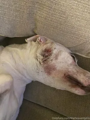 Theheavenlytris OnlyFans Leaked Free Thumbnail Picture - #R4gKkamQsO