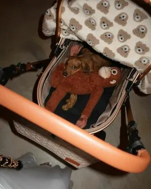 Thekatmichelee OnlyFans Leaked Free Thumbnail Picture - #Y4JYbKz5pw