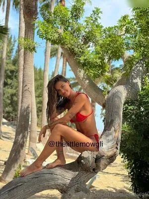 Thelittlemowgli OnlyFans Leaked Free Thumbnail Picture - #PVnNqGyjYZ
