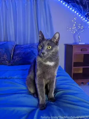 Themisssilverwitch OnlyFans Leaked Free Thumbnail Picture - #K0Lue6iBmD