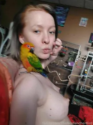 Thenerdandherbird OnlyFans Leaked Free Thumbnail Picture - #5as2MVeW3q