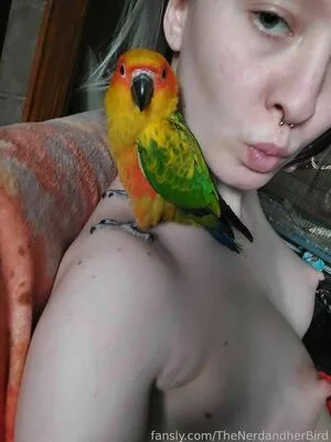 Thenerdandherbird OnlyFans Leaked Free Thumbnail Picture - #qwOtlkepbe