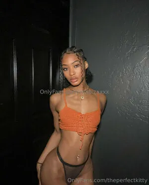 Theperfectkitty OnlyFans Leaked Free Thumbnail Picture - #azDZr0fTRQ