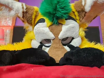 Thepineapplefox OnlyFans Leaked Free Thumbnail Picture - #6LqCxkwca0