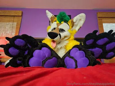 Thepineapplefox OnlyFans Leaked Free Thumbnail Picture - #VxAOzXU8qd