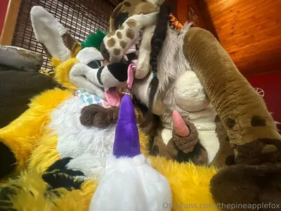 Thepineapplefox OnlyFans Leaked Free Thumbnail Picture - #ufzK43wKjv