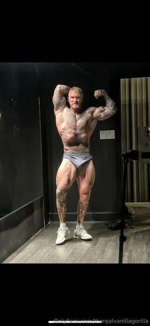 Therealvanillagorilla OnlyFans Leaked Free Thumbnail Picture - #HZumbs4MvP