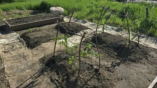 Therivergray OnlyFans Leaked Free Thumbnail Picture - #0KgMbRlJmy