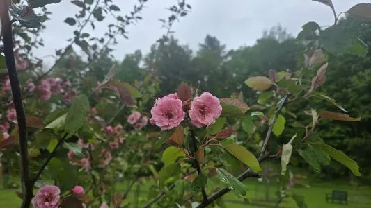 Therivergray OnlyFans Leaked Free Thumbnail Picture - #7DQXgMcZci