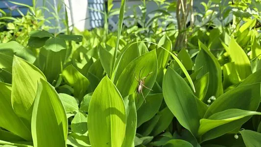 Therivergray OnlyFans Leaked Free Thumbnail Picture - #BZNUJPgwU8