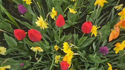 Therivergray OnlyFans Leaked Free Thumbnail Picture - #FmCHZ9sPYg