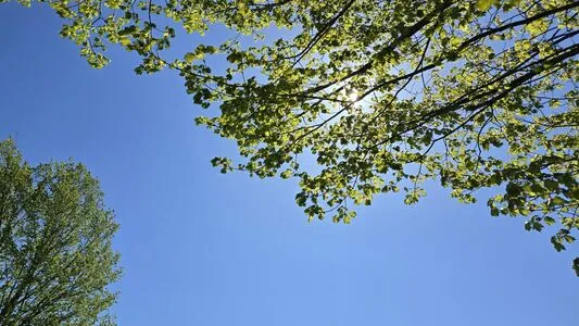 Therivergray OnlyFans Leaked Free Thumbnail Picture - #hhn0I4VtF5