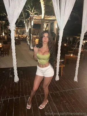 Therosaliaxo OnlyFans Leaked Free Thumbnail Picture - #pr4SeMA66K
