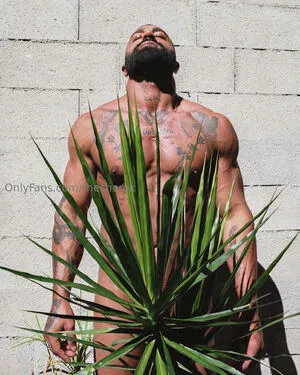 Thesharok OnlyFans Leaked Free Thumbnail Picture - #j1Ez88Shxl