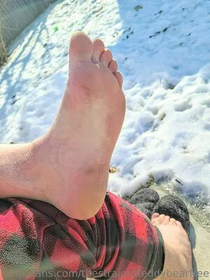 Thestraightteddybearfree OnlyFans Leaked Free Thumbnail Picture - #jVrAwhgbea