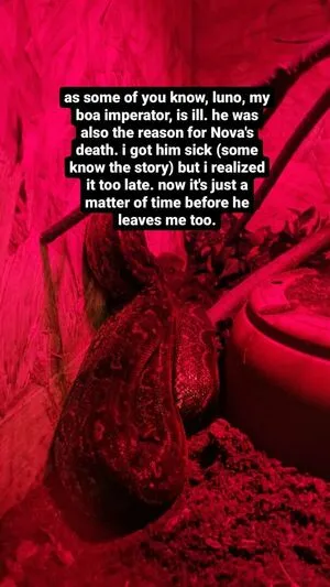 Thethreeheadedsnake OnlyFans Leaked Free Thumbnail Picture - #kWJtxlUYTm