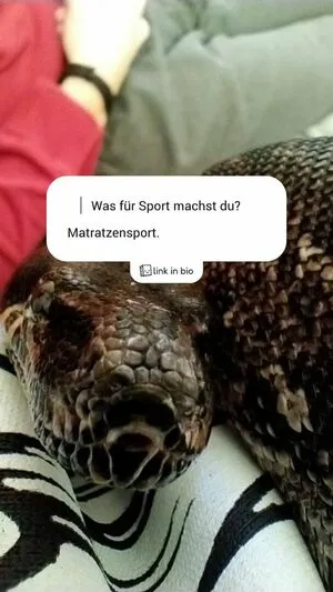 Thethreeheadedsnake OnlyFans Leaked Free Thumbnail Picture - #yepqsl8ZIM