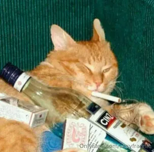 Theuntamablecougar OnlyFans Leaked Free Thumbnail Picture - #k4CXBnDm87