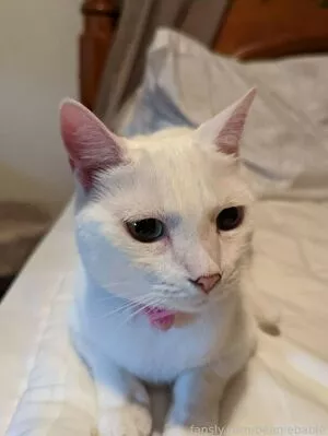 Thiq.Loser OnlyFans Leaked Free Thumbnail Picture - #P9ZUtpmneO