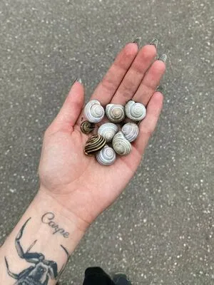 Thrvsher OnlyFans Leaked Free Thumbnail Picture - #bNaVXjlUSJ