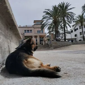 Tiadollar OnlyFans Leaked Free Thumbnail Picture - #AstOwPQl5S