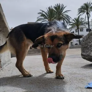 Tiadollar OnlyFans Leaked Free Thumbnail Picture - #m7iIG00ZxK