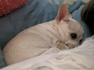 Tiffa Lewd OnlyFans Leaked Free Thumbnail Picture - #d7SHxRw6zh