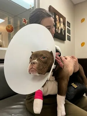 Tigeetrans OnlyFans Leaked Free Thumbnail Picture - #DaHnBacw0q