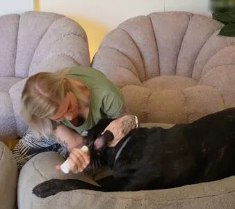 Tinkerleo OnlyFans Leaked Free Thumbnail Picture - #0q2vqMESrq