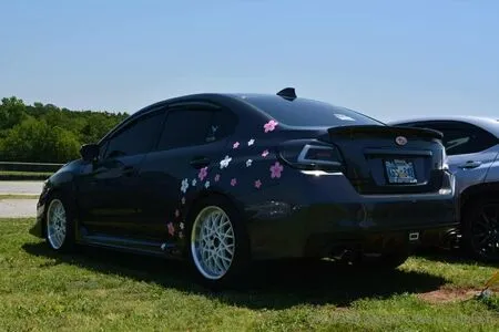 Tinybeautyqueen OnlyFans Leaked Free Thumbnail Picture - #HQBdb9OEVP