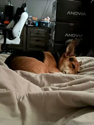 Tinybeautyqueen OnlyFans Leaked Free Thumbnail Picture - #aMkiiK6AVH