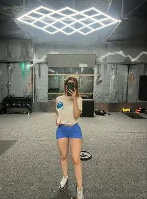 Tinychloe Xo OnlyFans Leaked Free Thumbnail Picture - #LjxvB6Q8X9