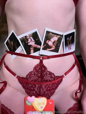 Tinypalemarshmallow OnlyFans Leaked Free Thumbnail Picture - #M9nsjyBFFA