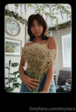 Tinytaco OnlyFans Leaked Free Thumbnail Picture - #fXEwu0KOpa