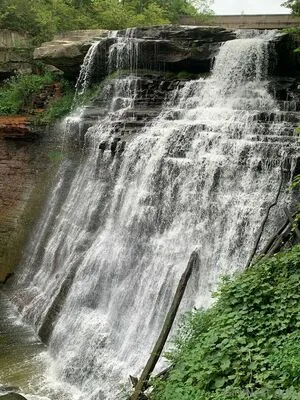 Tinytatted OnlyFans Leaked Free Thumbnail Picture - #DJLTmP9zvz