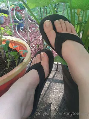 Tinytoetracy OnlyFans Leaked Free Thumbnail Picture - #kauT0TAca1