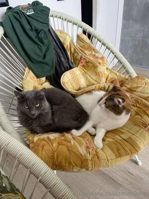 Titsmilkvip OnlyFans Leaked Free Thumbnail Picture - #UXjoKyuQfC